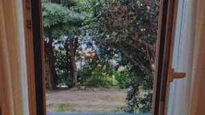 A window with a view of a green landscape, including trees and a pathway. - WHITE & BLUE HOUSE (Chiavari)