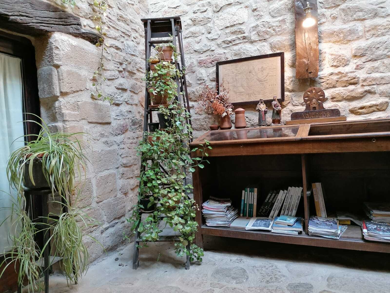 A rustic stone wall with a wooden ladder, potted plants, and a bookshelf filled with books.