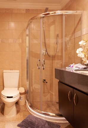 Shower, free toiletries, hair dryer, towels