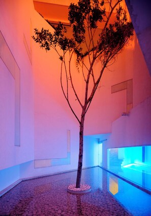 A tree in a room with a tiled floor and a glass partition. - Casa Rombos By Grupo Encanto Rombo II (Mexico City)