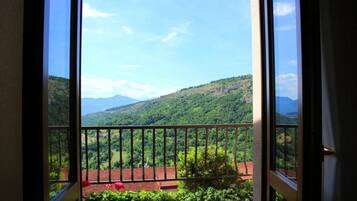 Suite | View from room