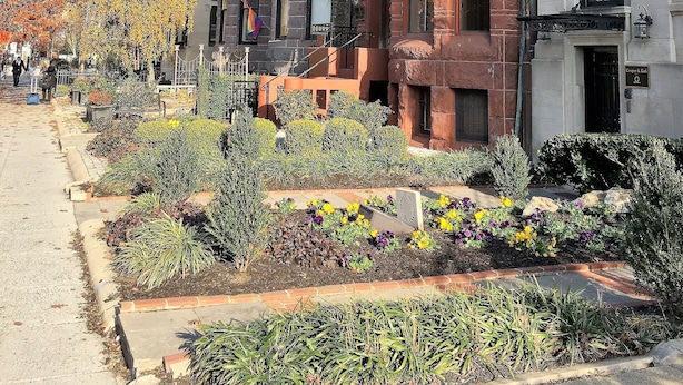 A row of historic buildings with a well-maintained garden in front. - Dupont 5-Star, Walk Score 94, Metro, 2BR (Washington)