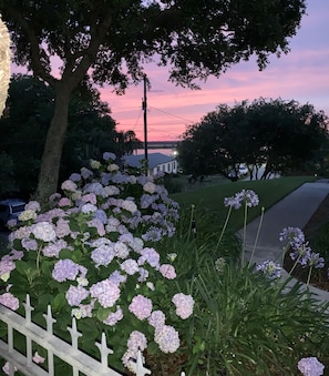 Property grounds - ~HUGE TROPICAL POOL WITH NEW ROOFTOP DECK!! AMAZING VIEWS! Pet Friendly!! (Isle of Palms)