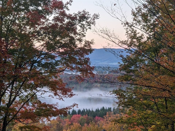 A forested landscape with a lake and mountains in the distance.