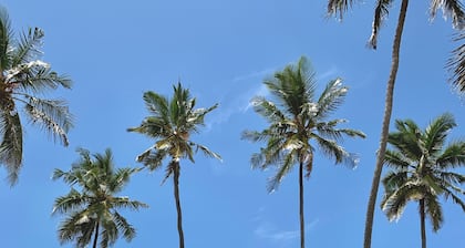 De lujo, equipamiento y servicio completo derecho de villa en la playa en Zanzíbar.