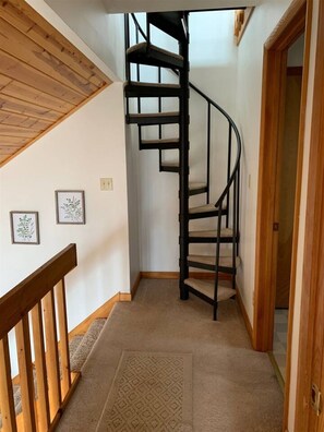 A spiral staircase with a wooden railing and carpeted floor, leading to a door. - Zigadeaux - Hot Tub, Wood Burning Fireplace (Davis)