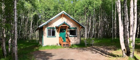 A small cabin with a green door and windows, surrounded by a forest.