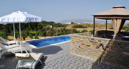 Ariadne House Plaka Beach!