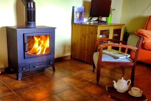 Una televisión, una chimenea