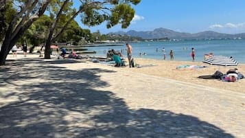 Plage, chaises longues