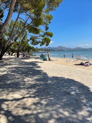 Une plage bordée d’arbres, une étendue de sable et un ciel bleu azur.