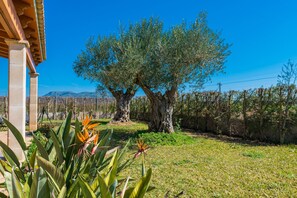 Property grounds - YourHouse Son Gallina Villa with private pool (Sa Pobla)