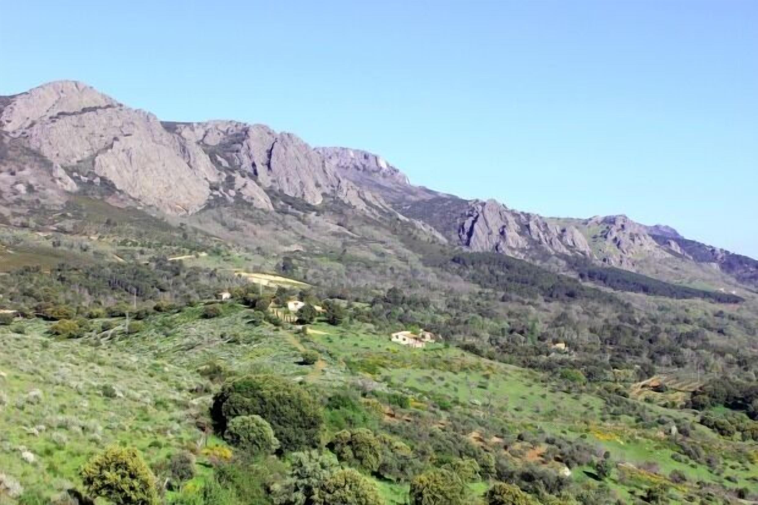Esterni