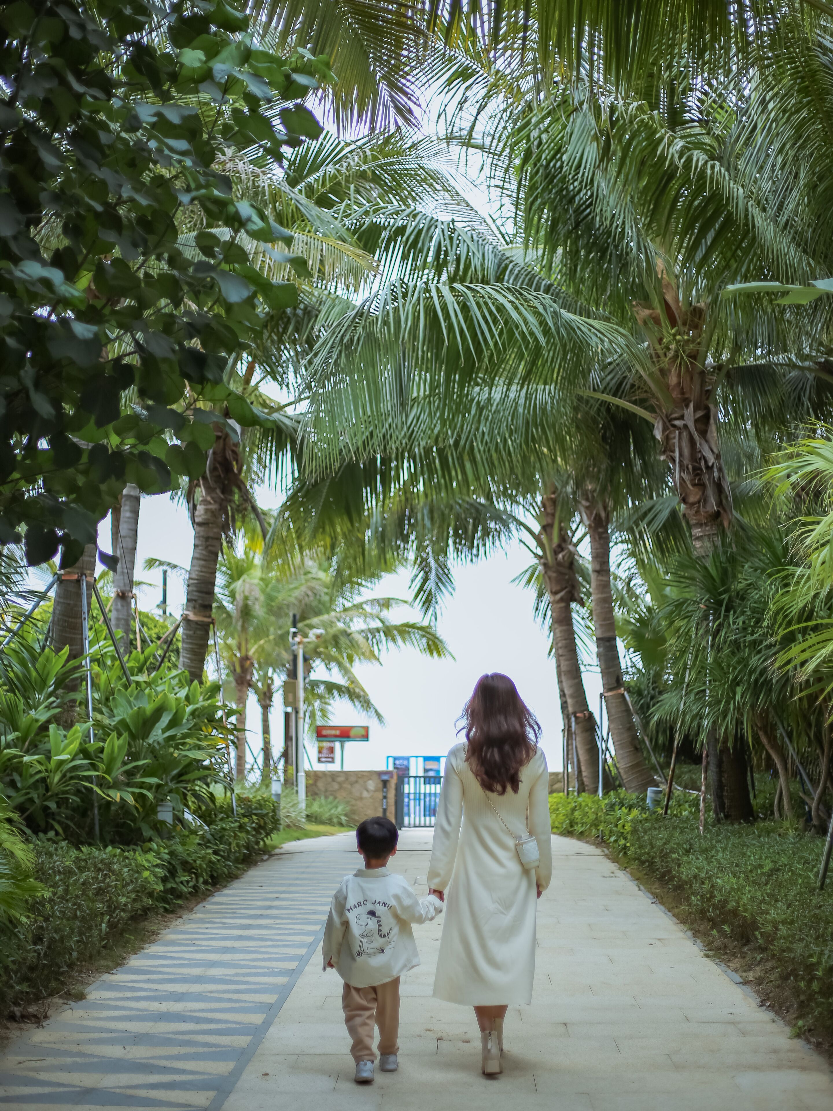 A pathway lined with palm trees and greenery, leading to a building with a blue sign.
