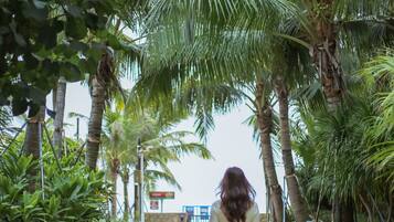 A pathway lined with palm trees and greenery, leading to a building with a blue sign.