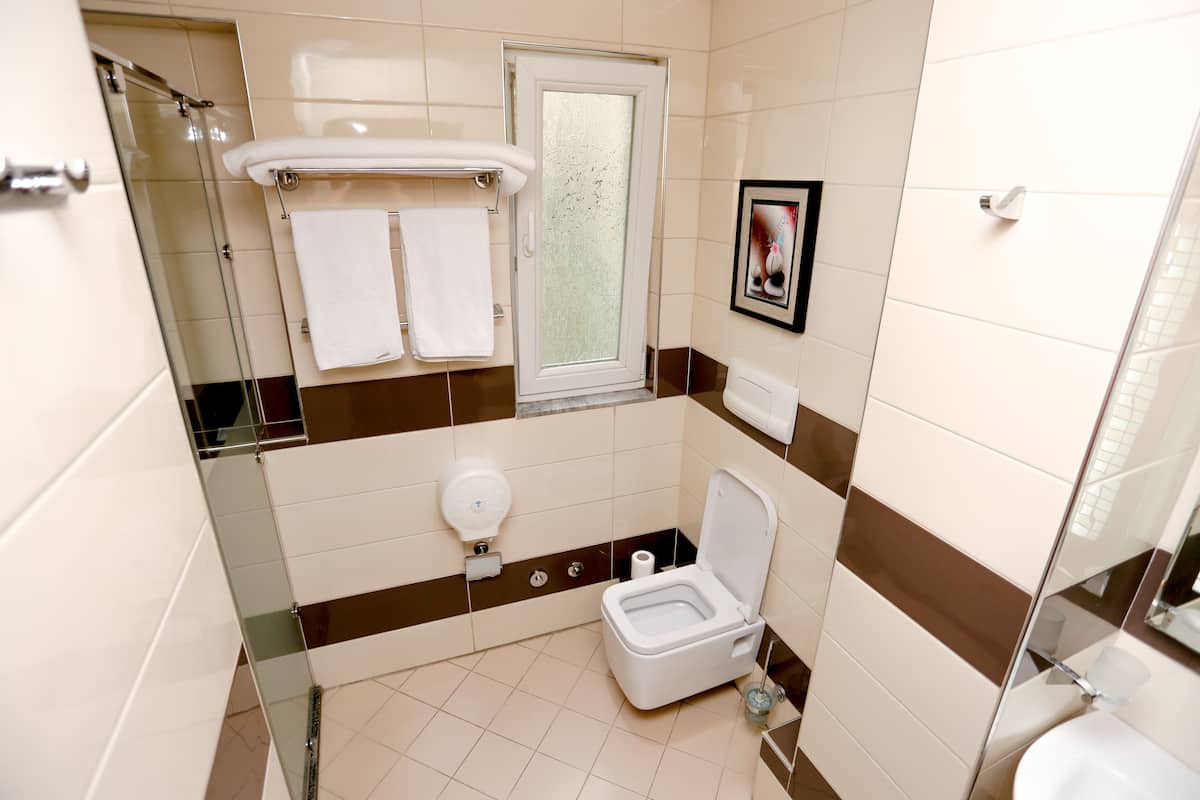 shower, free toiletries, hair dryer, slippers