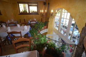 Un comedor con mesas dispuestas para dos, sillas de madera, plantas en macetas y vista a coches estacionados a través de una ventana.