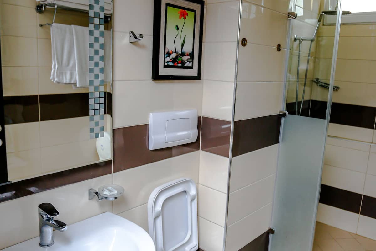 shower, free toiletries, hair dryer, slippers