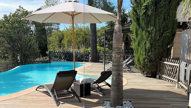 Zona junto a la piscina con sillones de descanso, una terraza de madera y una palmera.