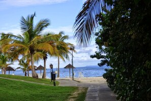 A beach with palm trees, a pathway, and beach umbrellas.