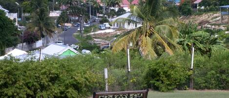 A bench in a grassy area with a view of a residential street, houses, and palm trees.