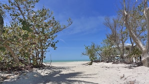 A beach with trees and a clear sky.