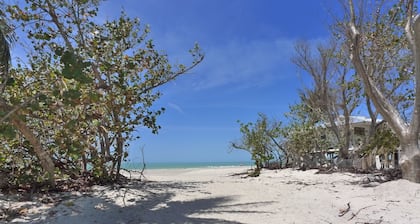 "Laika Lane Gem! Private Pool Home, 3 Min to Beach – Family Friendly Fun!"