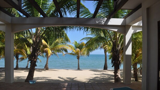 Un espacio al aire libre cubierto con vista a la playa y al océano, con palmeras y sillones de descanso.