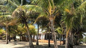 Una zona arenosa con palmeras y un edificio de fachada blanca.