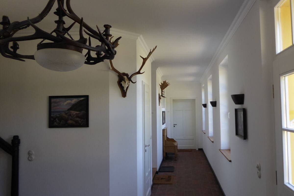 A hallway with white walls, framed pictures, and antler decorations.