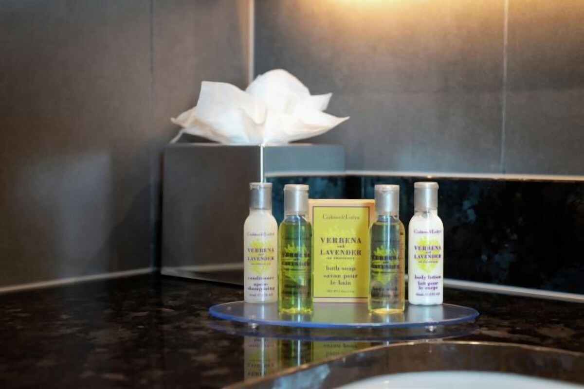 Shower, free toiletries, hair dryer, towels