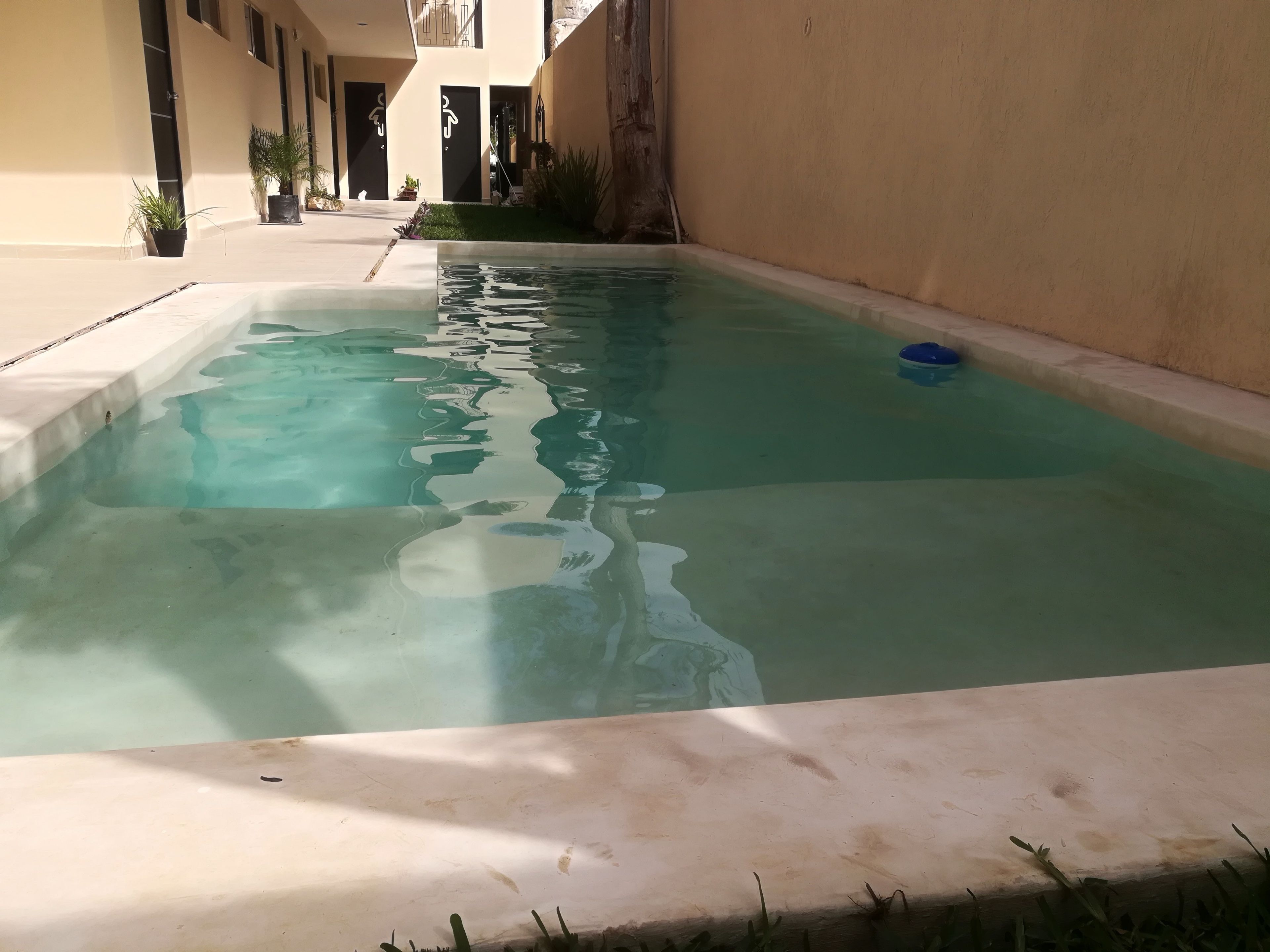 outdoor pool, open 8:00 am to 8:00 pm, pool loungers