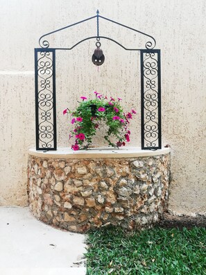 Exterior detail - Hotel Virreyes (Mérida)