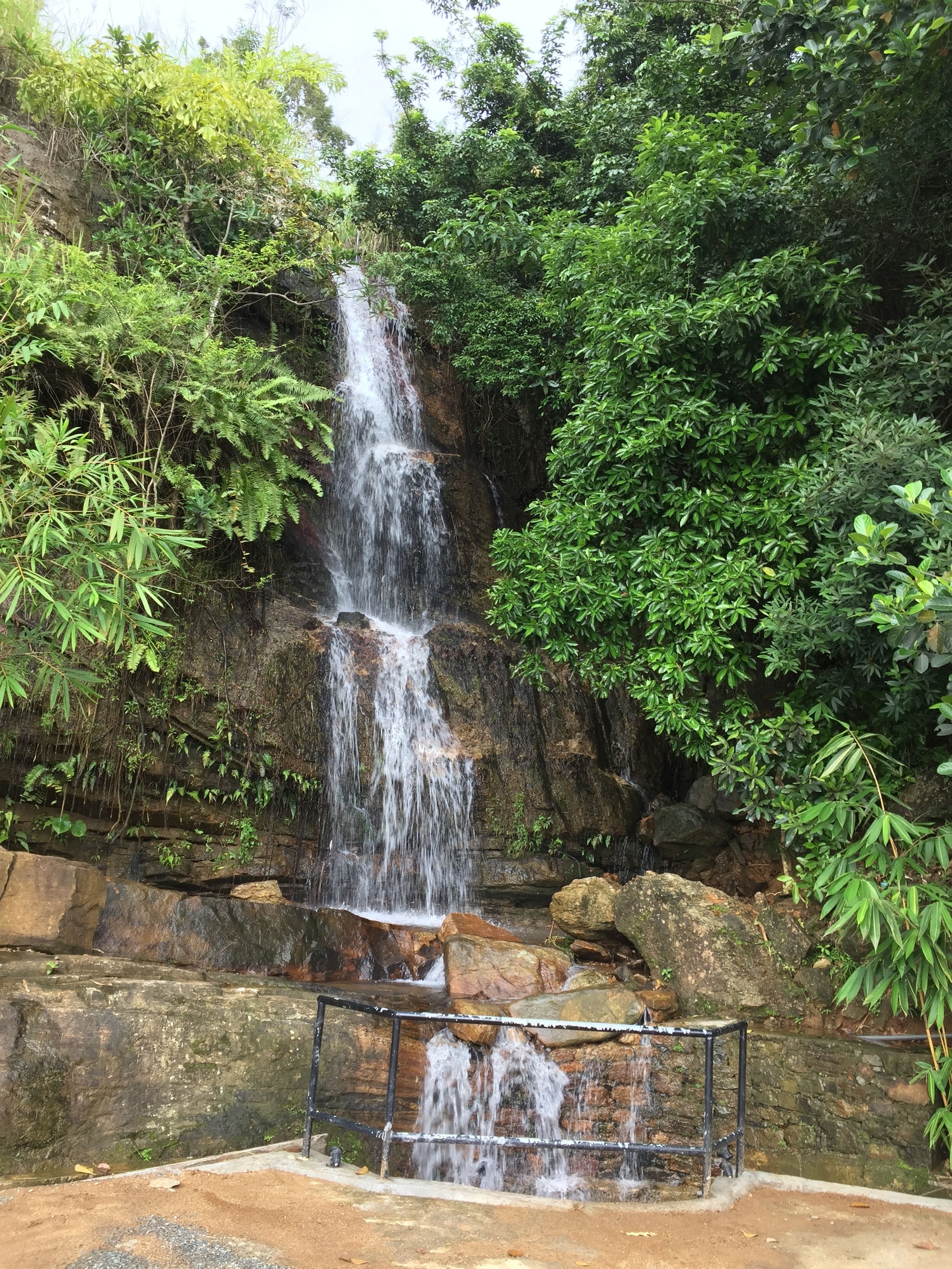 Una cascada que se precipita sobre un acantilado rocoso, rodeada de vegetación exuberante.