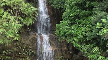 Una cascada que se precipita sobre un acantilado rocoso, rodeada de vegetación exuberante.