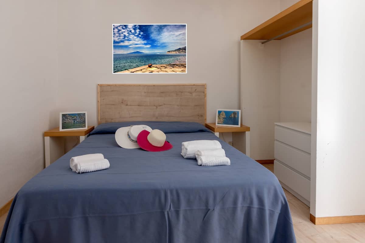 1 slaapkamer, hypoallergeen beddengoed, een bureau, een laptopwerkplek
