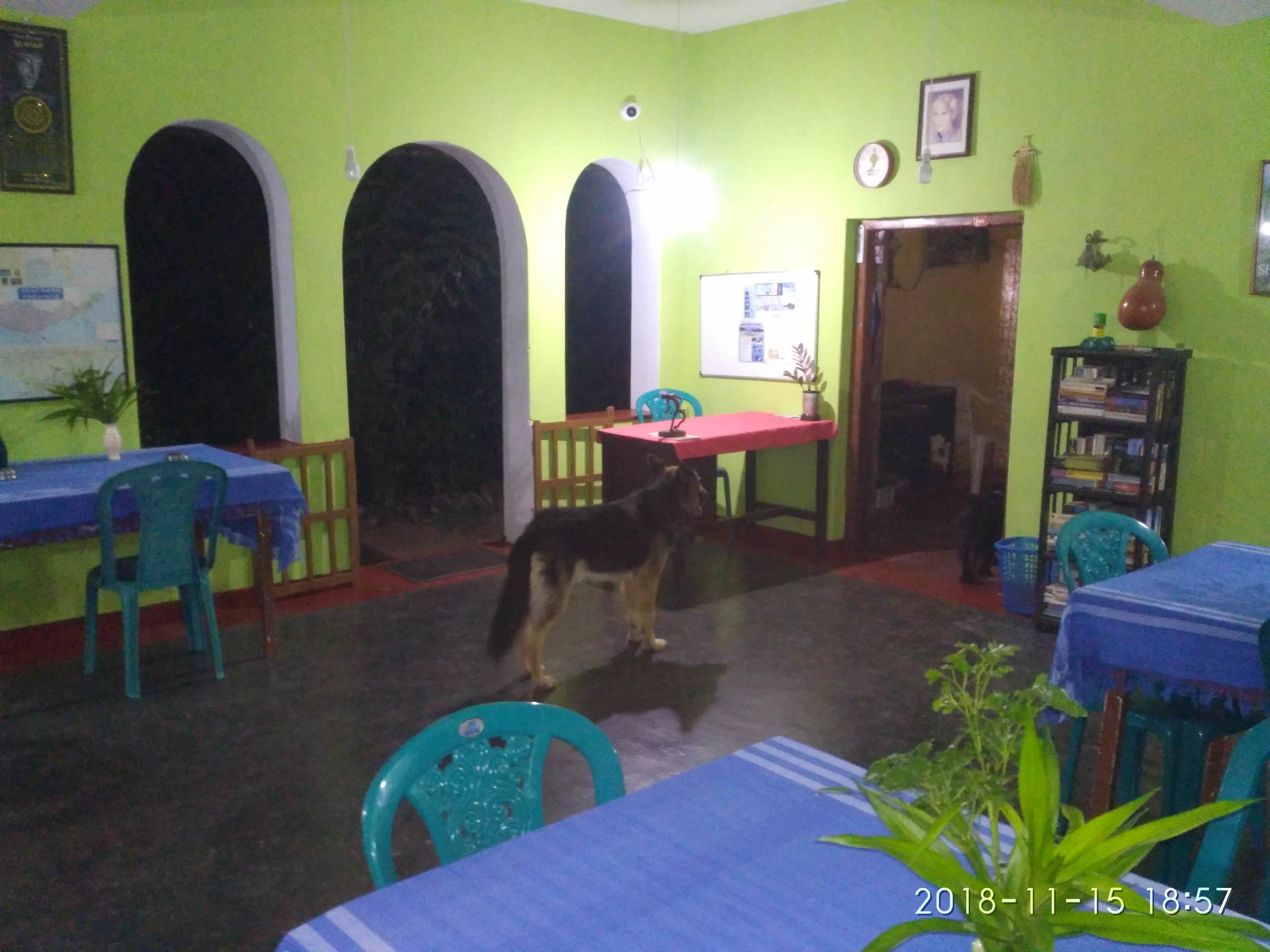 A dining area with tables and chairs, a dog, and a wall clock.