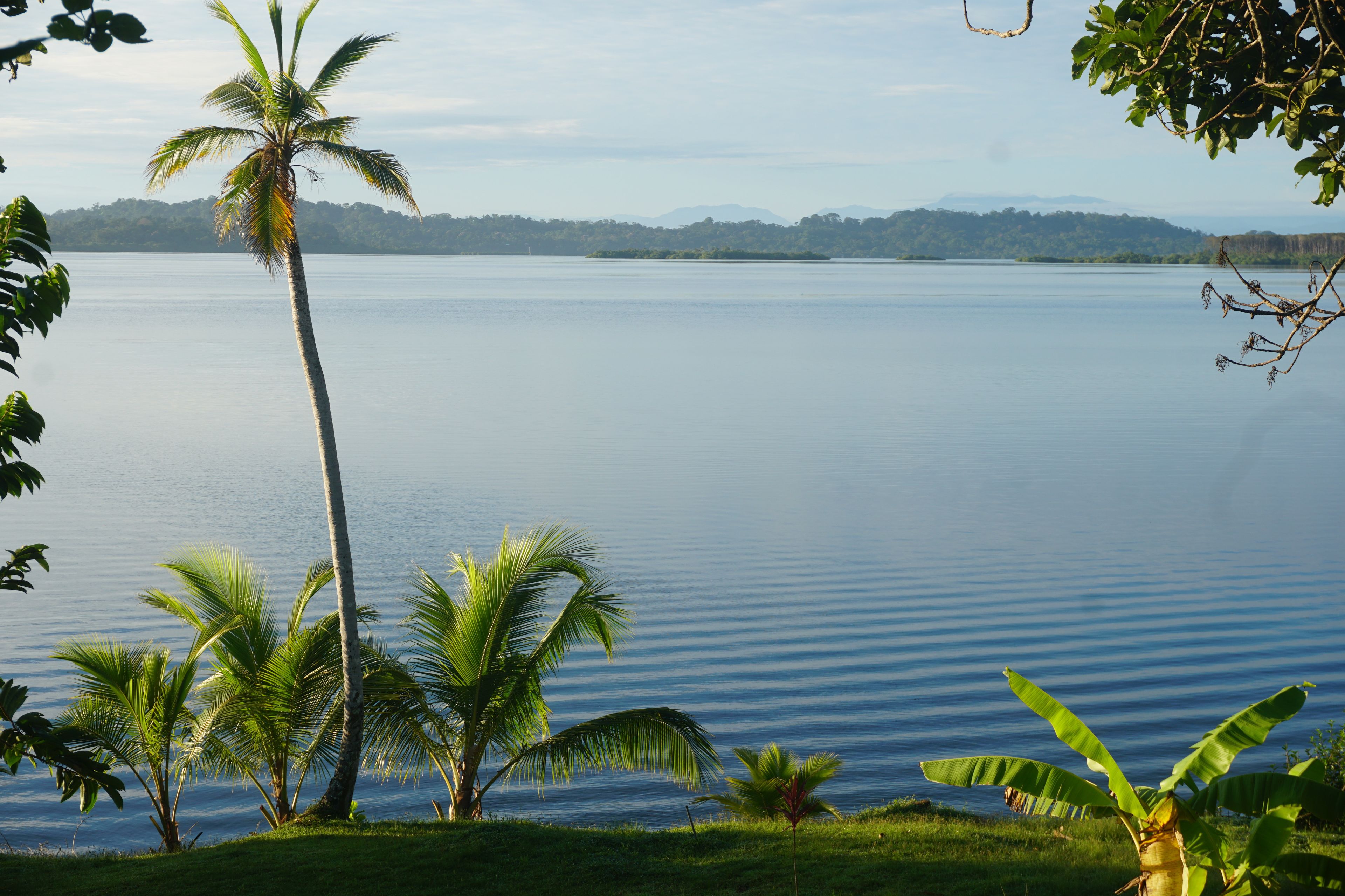 A calm lake with palm trees and a distant mountain range.