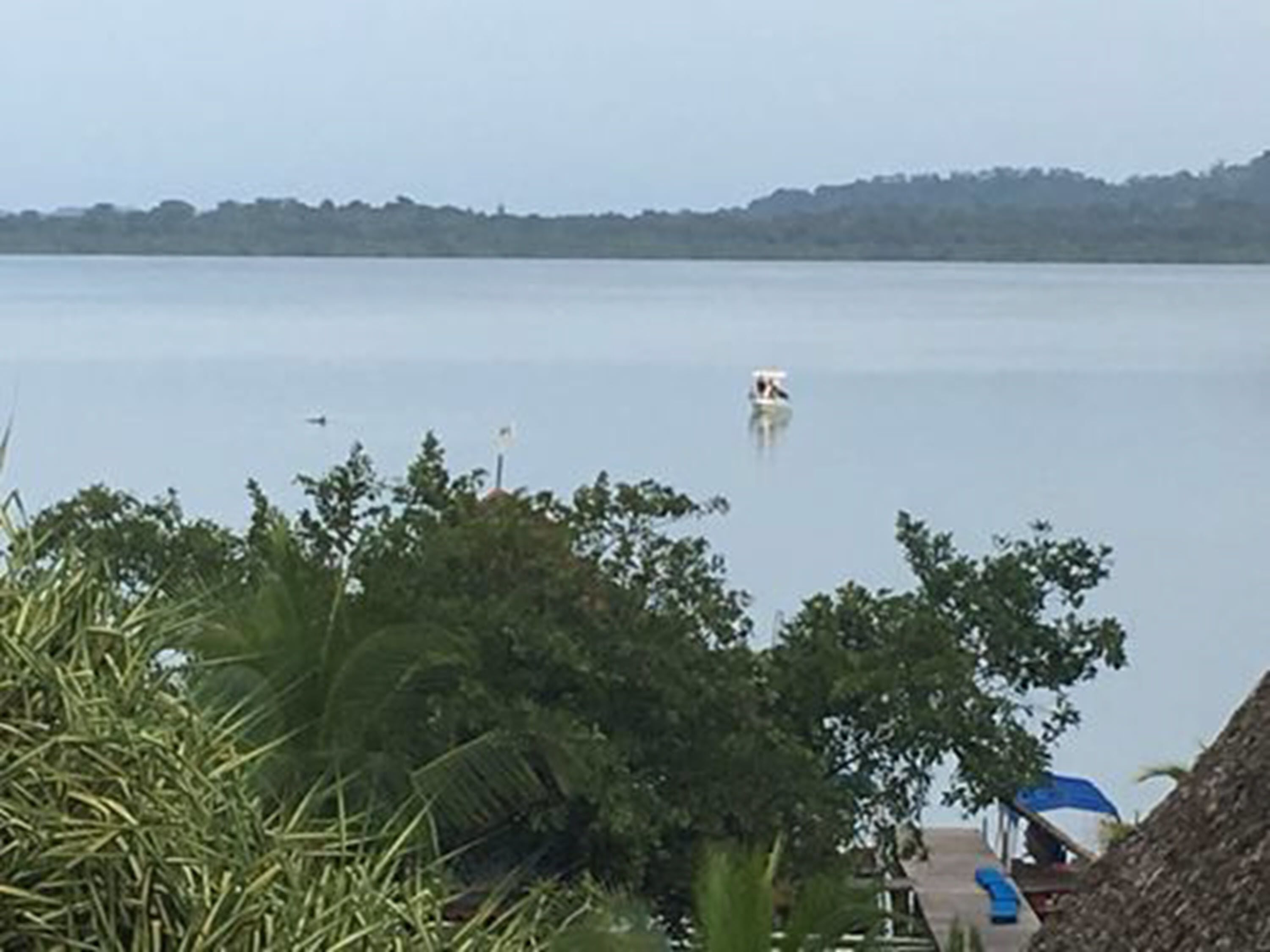 A calm lake with a boat in the distance, surrounded by lush greenery and a thatched-roof structure.