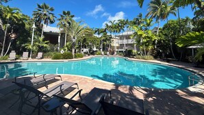 Une piscine avec des chaises longues et des palmiers.
