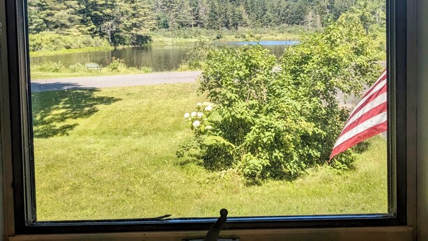 A window with a view of a lake, trees, and an American flag.
