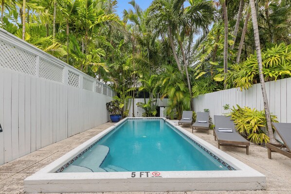 A rectangular pool with a 5 ft depth limit, surrounded by palm trees and lounge chairs. - LOST SHAKER OF SALT ~ 3 Bed, 2 Bath Pet Friendly with 40' Private Heated Pool (Key West)