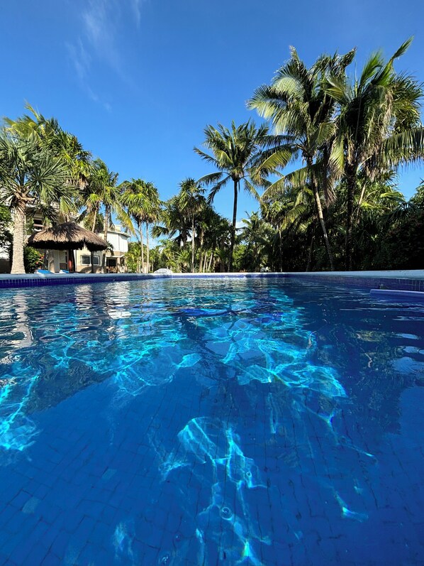 Piscine sur le toit, chaises longues