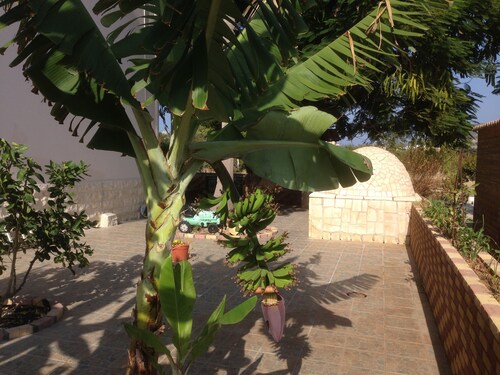 Yhden makuuhuoneen huoneisto ensimmäisessä kerroksessa 45 neliömetriä, 50 m lähellä merta 45 w / m