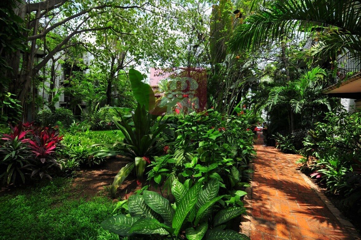 10 Top ShortTerm Rentals In Puerto Vallarta, Mexico Updated 2024