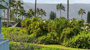 Unclassified image, 2 of 45, button - Full Ocean View, Great For Whale Watching (Princeville)