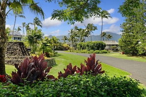 Property grounds - Full Ocean View, Great For Whale Watching (Princeville)