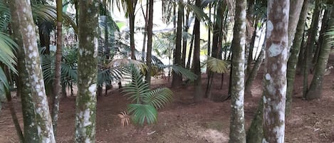 Terrain de lâhĂ©bergement