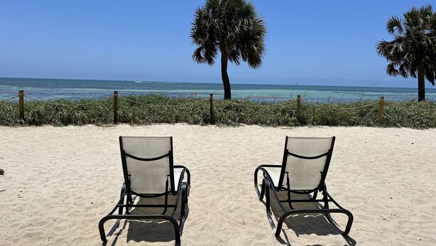 Two beach chairs facing the ocean with a palm tree and a fence in the background. - ATLANTIC BREEZE ~ 2B/2BA Renovated Retreat w/ Pool, Fitness Area & Beach! (Key West)