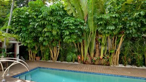 Una piscina envoltada de vegetació tropical exuberant, amb plataners i diverses falgueres.